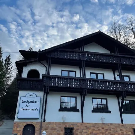 Pension Zur Hammermuehle * Wallenfels