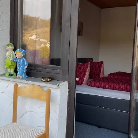 Pension Zur Hammermuehle 3*