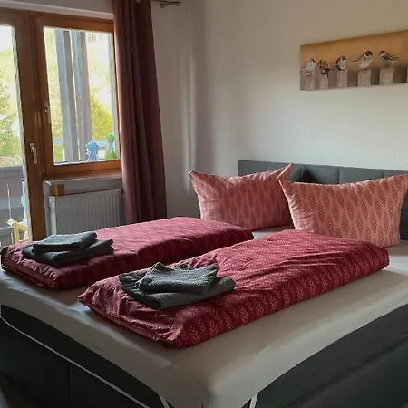 Pension Zur Hammermuehle Wallenfels