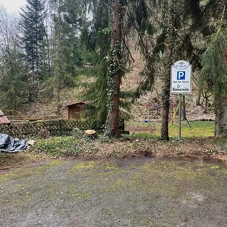 Pension Zur Hammermuehle Penzion Wallenfels