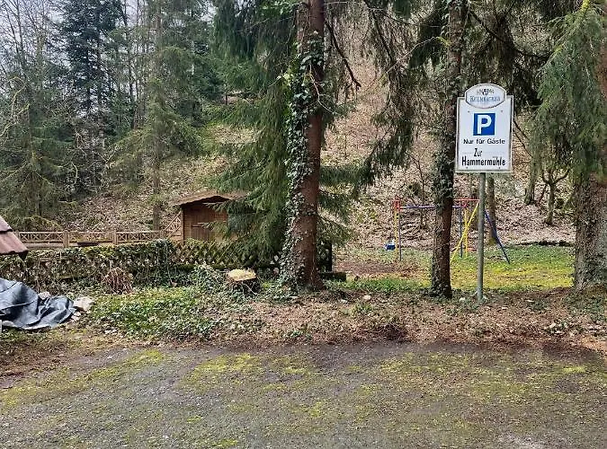 Pension Zur Hammermuehle Pensión Wallenfels