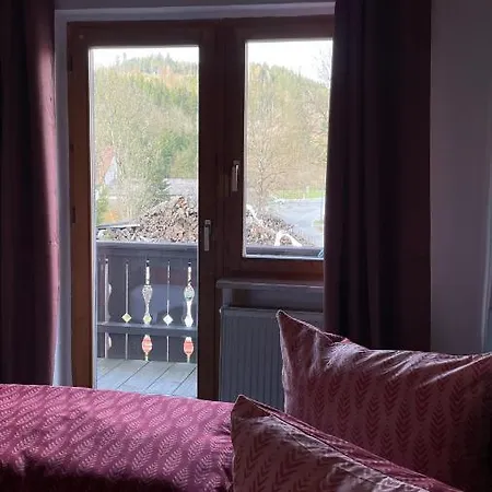 Pension Zur Hammermuehle Guest house *