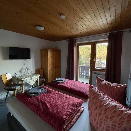 Pension Zur Hammermuehle Guest house Wallenfels